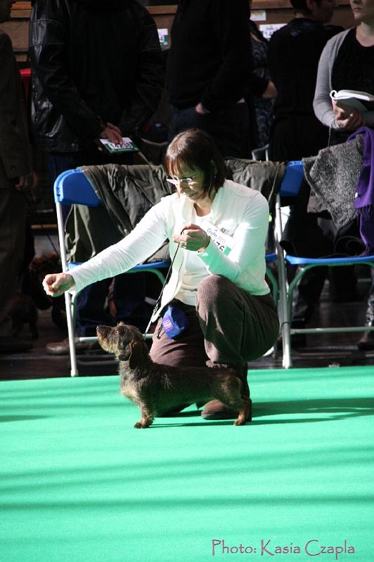 Crufts2011_2 580.jpg